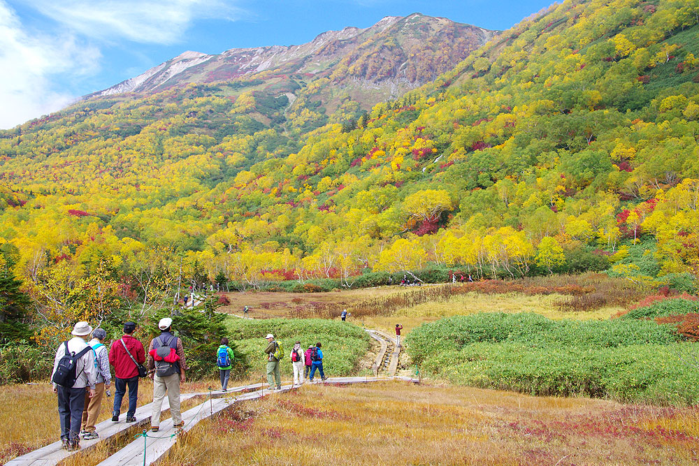 Immersive Local Stay in Hakuba, Nagano 6 days